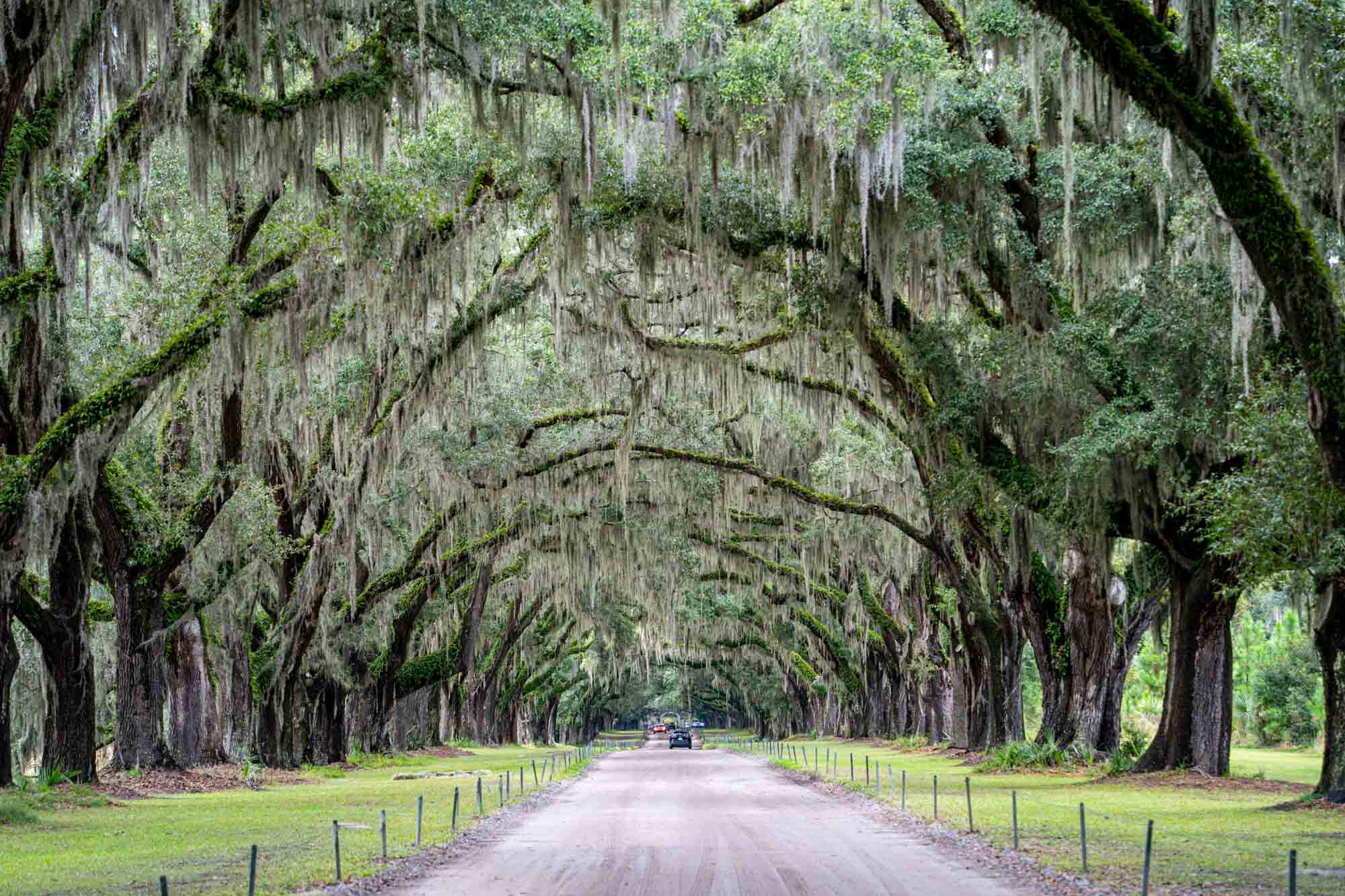 15+ Spooky Journey Tales From Across the World