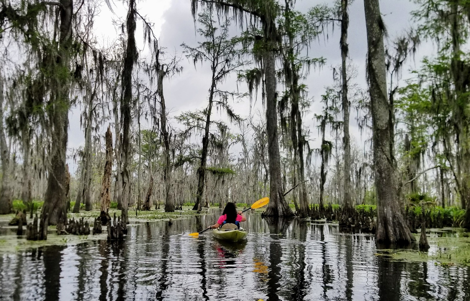 Discover Southern Louisiana, the Coronary heart of Cajun Nation