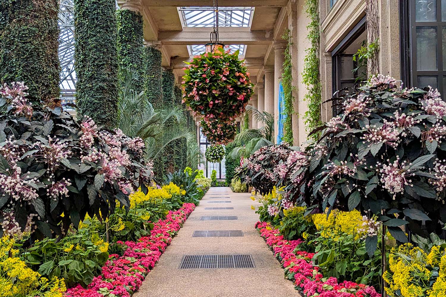 A Winter Getaway to Longwood Gardens: The place to Dine, Keep, and Discover